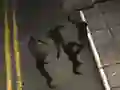 खेल Zombie Reborn ऑनलाइन