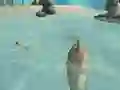 खेल Shark Simulator Beach Killer ऑनलाइन