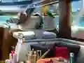 खेल Caribbean Crime ऑनलाइन