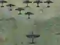 खेल Wings Of Glory ऑनलाइन