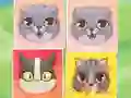 खेल Kitten Match ऑनलाइन