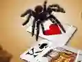 खेल Jumping Spider ऑनलाइन