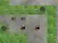 खेल Spider Tower Defence ऑनलाइन