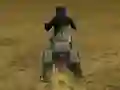 खेल Real Moto Stunts Challenge ऑनलाइन