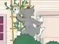 खेल Tom und Jerry: Wasserbomben Wahnsinn ऑनलाइन