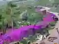 खेल Vanishing Trail ऑनलाइन