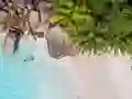 खेल Seychelles Beach Jigsaw Puzzle ऑनलाइन