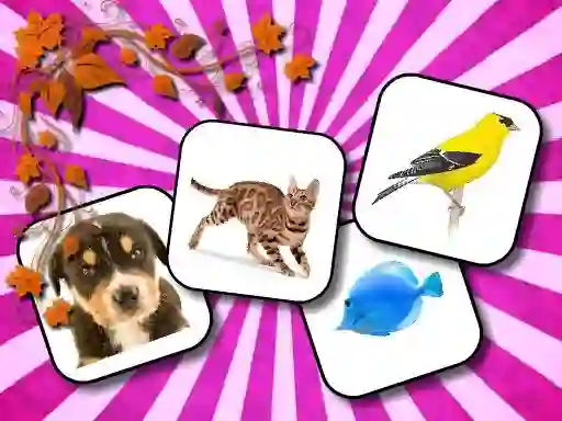 खेल Animals Memory ऑनलाइन