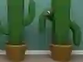 खेल Cactus Cube ऑनलाइन