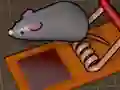 खेल Feed the Mouse ऑनलाइन