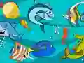 खेल Fish Differences ऑनलाइन