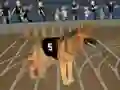 खेल Crazy Dog Racing Fever ऑनलाइन
