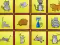 खेल Cats Findiff ऑनलाइन