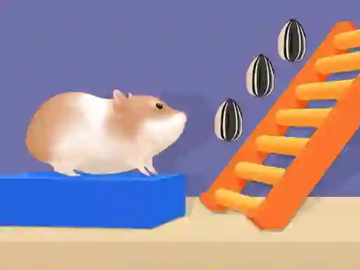 खेल Hamster Stack Maze ऑनलाइन