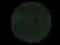 खेल Stickshot 2 ऑनलाइन