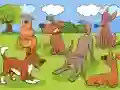 खेल Animals Differences ऑनलाइन