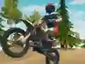 खेल Dirt Bike Enduro Racing ऑनलाइन