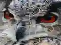 खेल Wild owl Jigsaw ऑनलाइन
