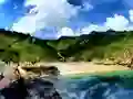 खेल Parrot House Escape ऑनलाइन