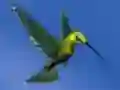 खेल Hummingbird House Escape ऑनलाइन