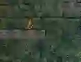 खेल Bunny Adventure ऑनलाइन