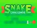 खेल Snake Challenge ऑनलाइन