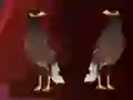 खेल Peikin Duck Escape ऑनलाइन