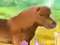 खेल My Dear Pony ऑनलाइन