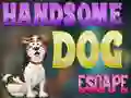 खेल Handsome Dog Escape ऑनलाइन