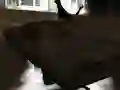 खेल Drift Z ऑनलाइन