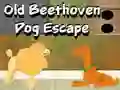 खेल Old Beethoven Dog Escape ऑनलाइन