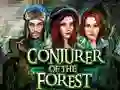 खेल Conjurer Of The Forest ऑनलाइन