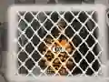 खेल Tiger Escape 1 ऑनलाइन