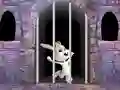 खेल Victory Rabbit Escape ऑनलाइन