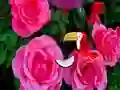 खेल Precious Rose Escape ऑनलाइन