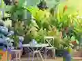 खेल Find The Cute Pandas ऑनलाइन