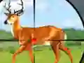 खेल Wild Hunt Hunting Games 3D ऑनलाइन