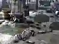 खेल Friends Rescue From Skeleton ऑनलाइन