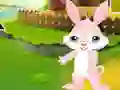 खेल Find The Buddy Rabbit ऑनलाइन