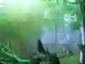 खेल Trapped Honeybee Escape ऑनलाइन