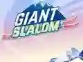 खेल Giant Slalom ऑनलाइन