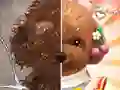 खेल Pet Makeup Master ऑनलाइन