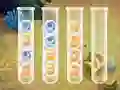 खेल Sort Bubbles ऑनलाइन
