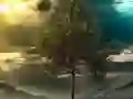 खेल Illusion Jungle Fairy Escape ऑनलाइन