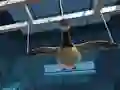 खेल Goose Museum ऑनलाइन