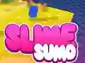 खेल Sumo Slime 3D ऑनलाइन