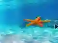 खेल Escape From Underwater Starfish ऑनलाइन