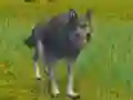 खेल The Wolf: Wild Animal Simulator ऑनलाइन