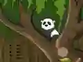 खेल Panda Jungle Escape ऑनलाइन