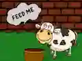 खेल Find The Cow Feed ऑनलाइन